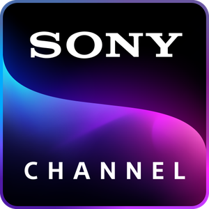 Tv sony bravia 4k de 60" pulgadas dejo de funcionar