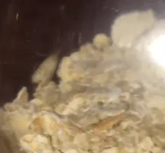 Avena quaker, paquete sellado, con polilla viva adentro!!