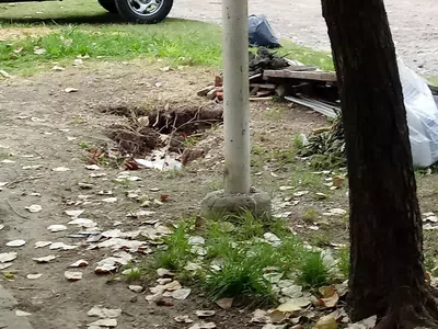 Me inclino la medianera y imposible caminar por la vereda