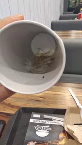 Insecto dentro de vaso de gaseosa