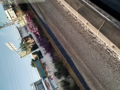 Limpieza en metrobus
