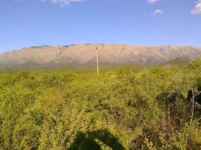 Saquen los postes y cableados que pusieron dentro de mi lote!!