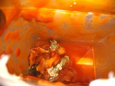 Caja de pulpa de tomate que contenia una masa podrida