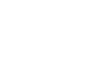Budín agrio