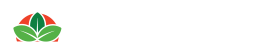 Ante de turno