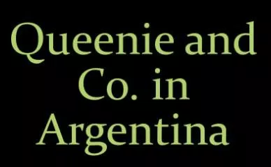 Entrega de toallas queenie argentina