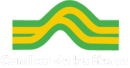 Animales enla ruta