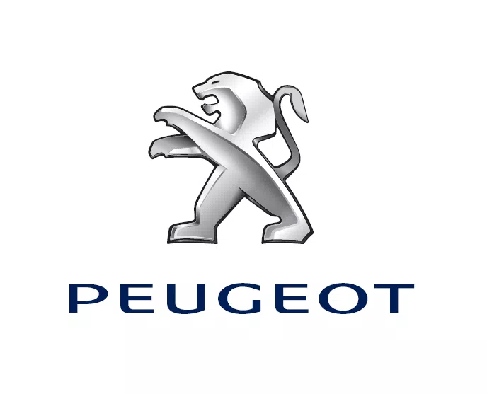 Peugeot 208 feline 0km defectuoso
